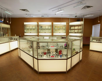 Jewelry+store+display+case
